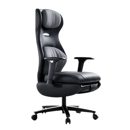 EMIAH GT100 Ergonomic Gaming Chair with Lumbar Support EMIAH