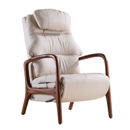EMIAH M7 Power Recliner Chair - EMIAH Store